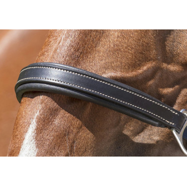 Lederhalfter Norton Pro Grooming Schwarz Lederhalfter Norton Pro Grooming Schwarz