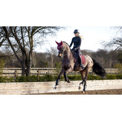 Tapis LeMieux dressage Soft Shell antidérapant Bordeaux Tapis LeMieux dressage Soft Shell antidérapant Bordeaux