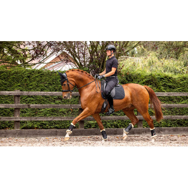 LeMieux Dressur Softshell Satteldecke rutschfest LeMieux Dressur Softshell Satteldecke rutschfest