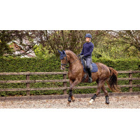 LeMieux Dressur Softshell Satteldecke rutschfest Marineblau