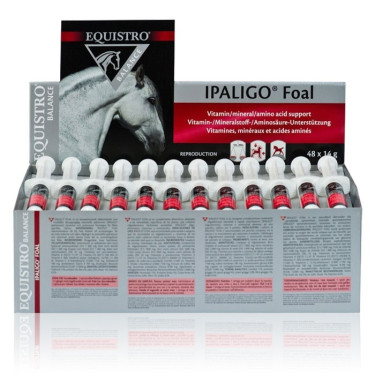 Equistro Ipaligo Fohlen Equistro Ipaligo Fohlen