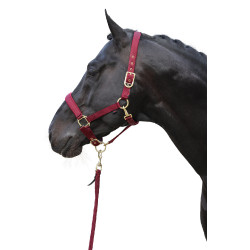 Classy Halfter Covalliero Classy Halfter Covalliero