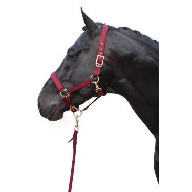 Classy Halfter Covalliero Classy Halfter Covalliero