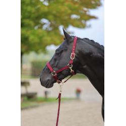 Classy Halfter Covalliero Classy Halfter Covalliero