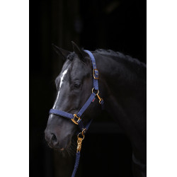 Halfter TopLine Covalliero Halfter TopLine Covalliero