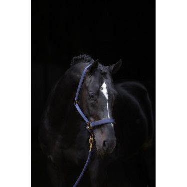 Halfter TopLine Covalliero Halfter TopLine Covalliero