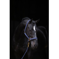 Halfter TopLine Covalliero Halfter TopLine Covalliero