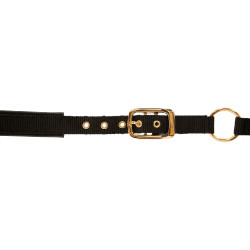 Halfter TopLine Covalliero Schwarz