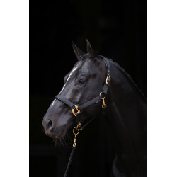 Halfter TopLine Covalliero Schwarz