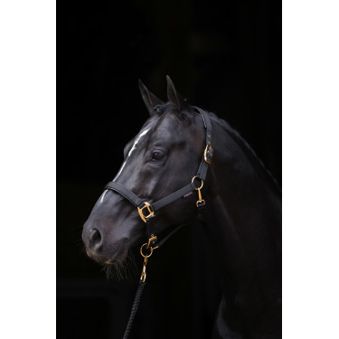 Halfter TopLine Covalliero Schwarz