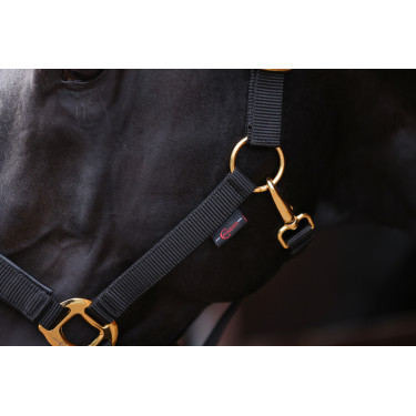 Halfter TopLine Covalliero Schwarz