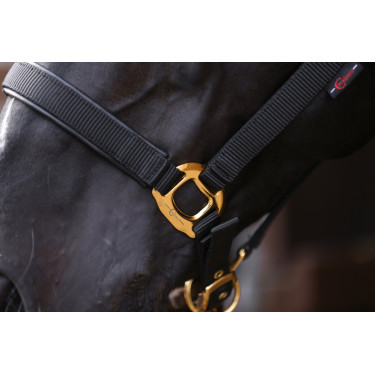 Halfter TopLine Covalliero Schwarz