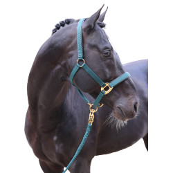 Halfter TopLine Covalliero Halfter TopLine Covalliero