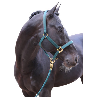 Halfter TopLine Covalliero Halfter TopLine Covalliero