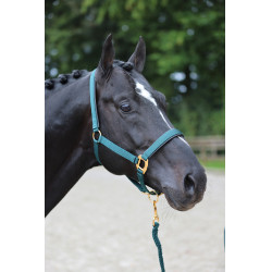 Halfter TopLine Covalliero Halfter TopLine Covalliero