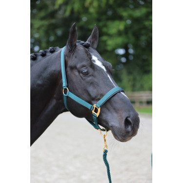 Halfter TopLine Covalliero Halfter TopLine Covalliero