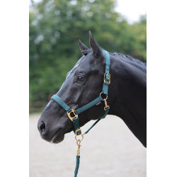 Halfter TopLine Covalliero Halfter TopLine Covalliero