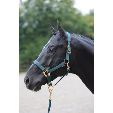 Halfter TopLine Covalliero Halfter TopLine Covalliero