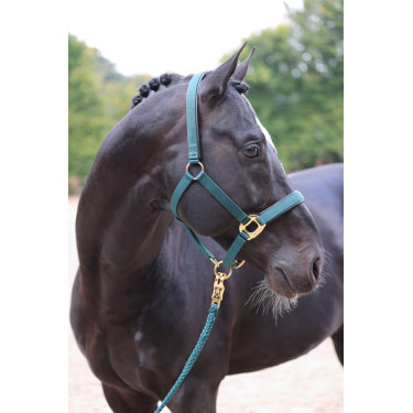 Halfter TopLine Covalliero Halfter TopLine Covalliero