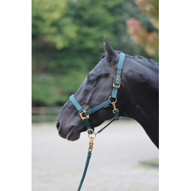 Halfter TopLine Covalliero Halfter TopLine Covalliero