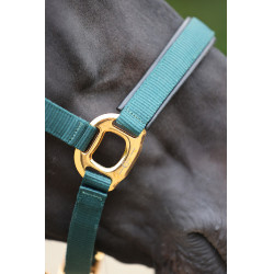 Halfter TopLine Covalliero Halfter TopLine Covalliero