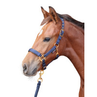 Fohlenhalfter TopLine Covalliero Marineblau