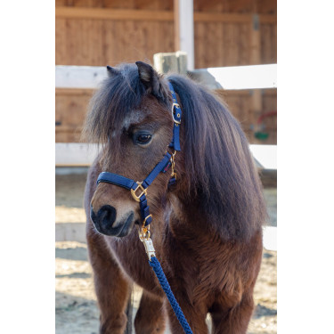 Fohlenhalfter TopLine Covalliero Marineblau