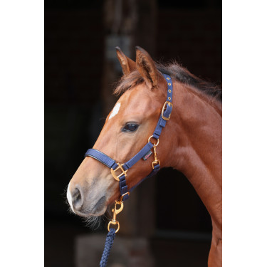 Fohlenhalfter TopLine Covalliero Marineblau