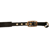 Fohlenhalfter TopLine Covalliero Marineblau