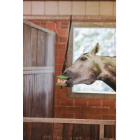 Spielzeug Delizia® Sandwich Kerbl Karotte