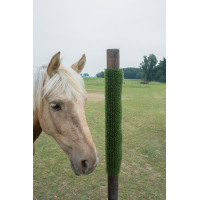 Kratz- und Reinigungstafel KratzPad Kerbl Grün Gr&uuml;n