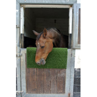 Kratz- und Reinigungstafel KratzPad Kerbl Grün Gr&uuml;n