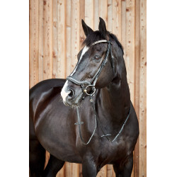 Anatomisches Reithalfter Horze Highbury Stirnband Strass Anatomisches Reithalfter Horze Highbury Stirnband Strass