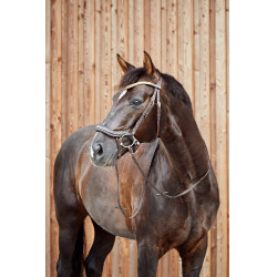 Anatomisches Reithalfter Horze Highbury Stirnband Strass Dunkelbraun Anatomisches Reithalfter Horze Highbury Stirnband Strass Dunkelbraun