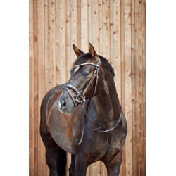 Anatomisches Zaumzeug Horze Somerset Anatomisches Zaumzeug Horze Somerset