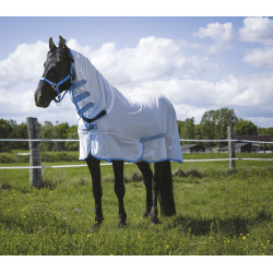 Netzdecke Riding World Combo Netzdecke Riding World Combo