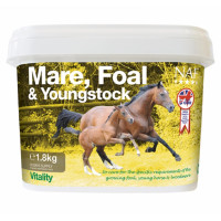 Stuten, Fohlen und junge...