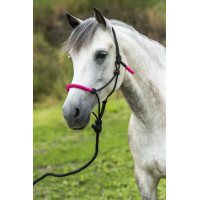 ETHOLOGISCHES HALFTER + FARBIGE STRICKLEINE Neonfuchsie