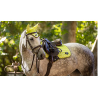 Fliegenhaube LeMieux Loire Azurblau Fliegenhaube LeMieux Loire Azurblau