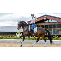 Polo-Bandagen Loire LeMieux Nebel Blau