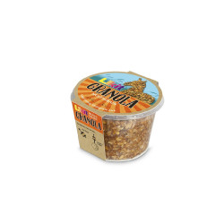 Pierre à lécher Likit