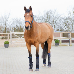 Stallgamaschen Horze PRO, hinten Stallgamaschen Horze PRO, hinten