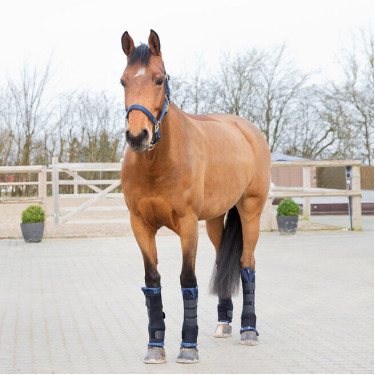 Stallgamaschen Horze PRO, hinten Stallgamaschen Horze PRO, hinten