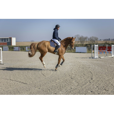 Steppjacke Pro Series Diagonal Steppjacke Pro Series Diagonal