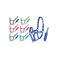 Licol Pool's nylon boucles noires avec longe Vert citron
