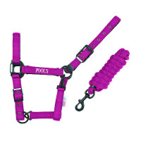 Licol Pool's nylon boucles noires avec longe Vert citron Licol Pool's nylon boucles noires avec longe Vert citron