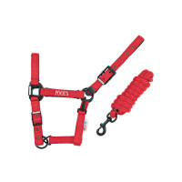 Licol Pool's nylon boucles noires avec longe Vert citron Licol Pool's nylon boucles noires avec longe Vert citron