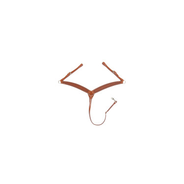 Western-Martingal Pool's Border Stamp