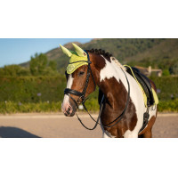 Fliegenhaube LeMieux Classic Schwarz