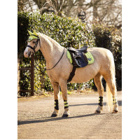 Fliegenhaube LeMieux Junior Loire Marineblau Fliegenhaube LeMieux Junior Loire Marineblau